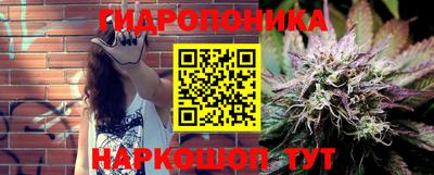 a pvp Кимры